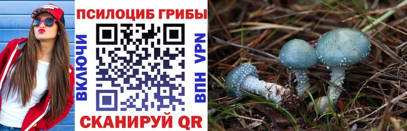 Купить где  Краснообск  Галлюциногенные грибы мицелий 